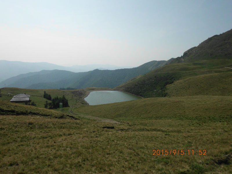 poza 3