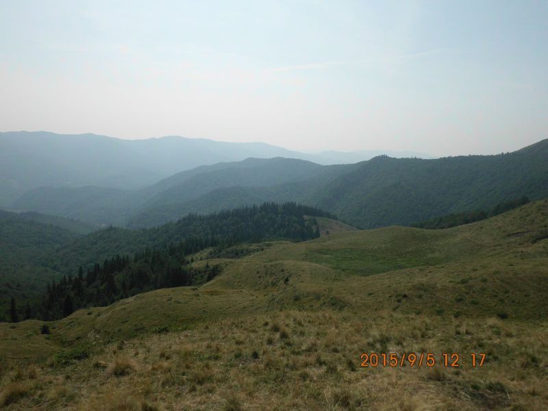 poza 8
